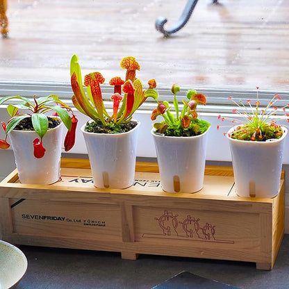 3" Self Watering Pots, 20 Sets Self Watering Planter Pots