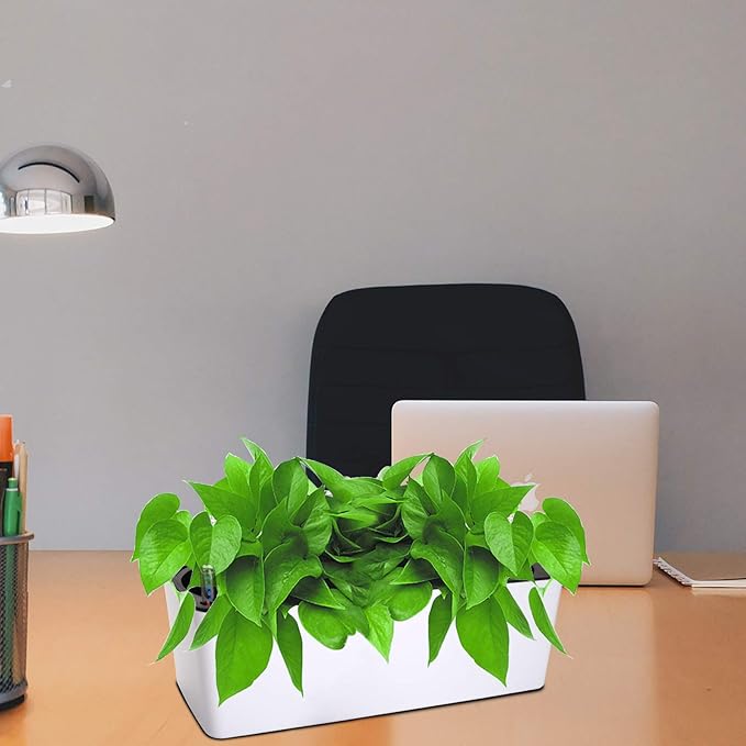 Fasmov 2 Pack Rectangle Self Watering Planter