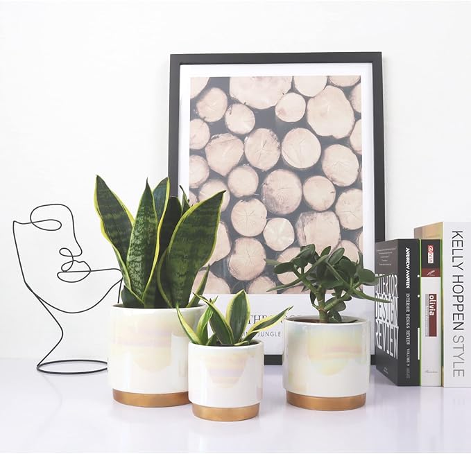 Gepege White Indoor Pots for Plants, Ceramic Planter