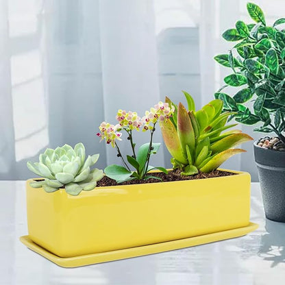 Vencer 14 Inch Rectangular Modern Minimalist Ceramic Succulent Planter Pot
