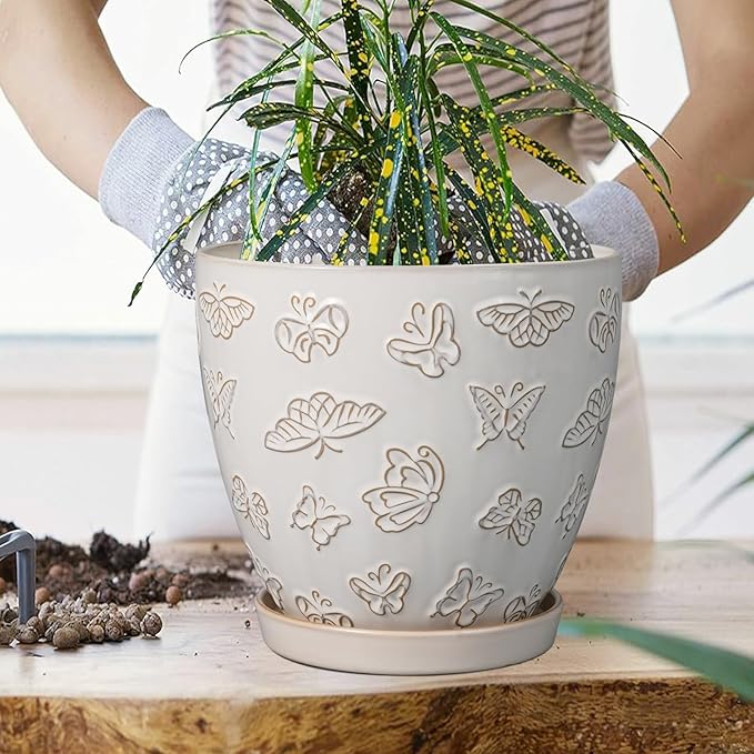 Ceramic Planter 8 Inch