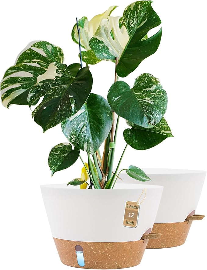12-Inch Self Watering Planters