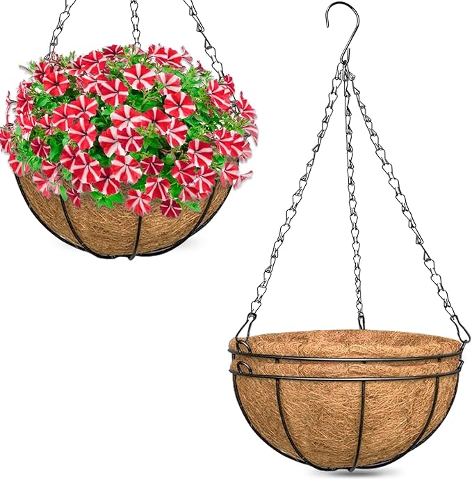 ZeeDix 3 Pack 14 Inch Hanging Baskets