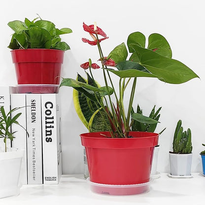 8 inch Plastic Flower Pots