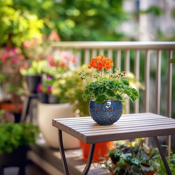 Ceramic Pots for Plants