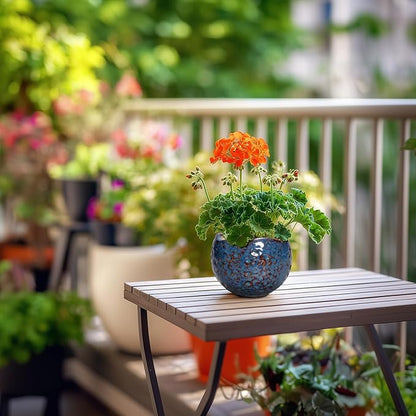 Ceramic Pots for Plants