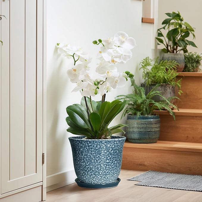 10 Inch Plant Pot
