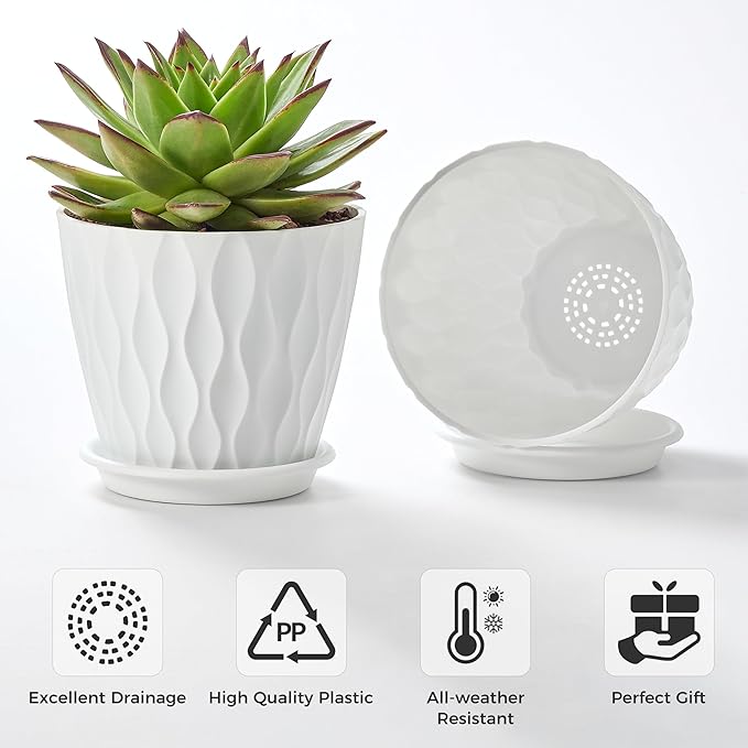 FaithLand 6-Pack 6-Inch Plastic Plant Pots