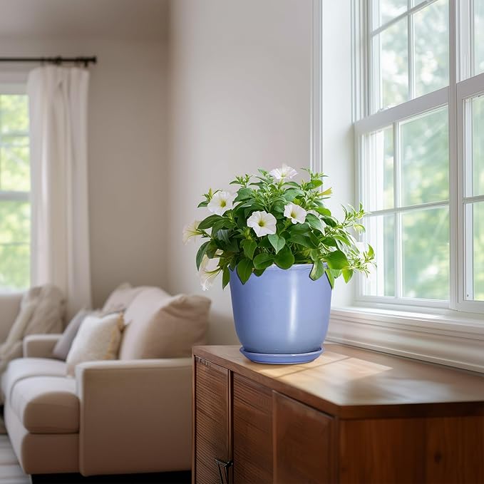 Ceramic Pots for Plants