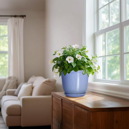 Ceramic Pots for Plants