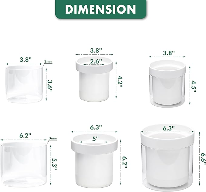 Phoenix Vine 6 Inch 4 Inch Self Watering Planter