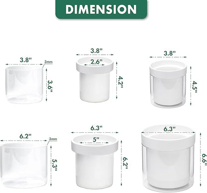 Phoenix Vine 6 Inch 4 Inch Self Watering Planter