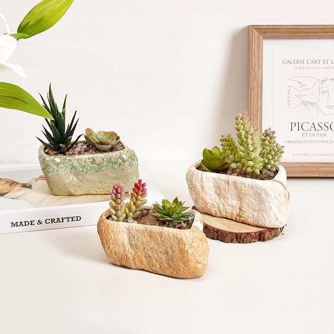 T4U 5.5 Inch Ceramic Succulent Pot Planter