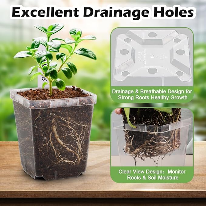 3.3 Inch Clear Nursery Pots