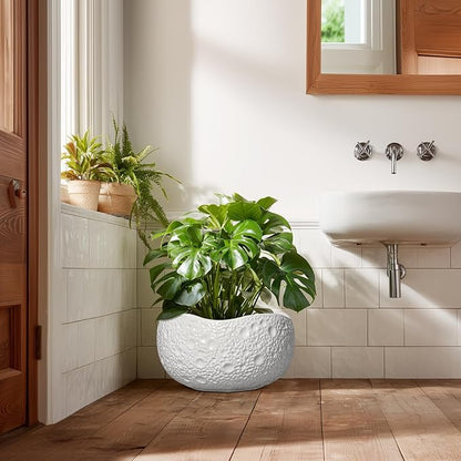 Large Bonsai Pots