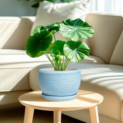 SQOWL Ceramic Planter
