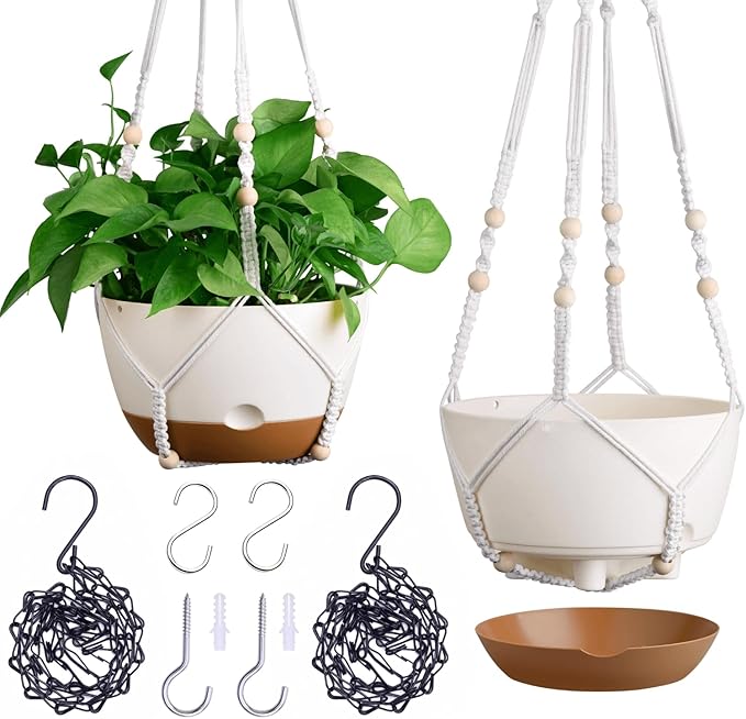 montresor Set of 2-8 Inch Hanging Planters