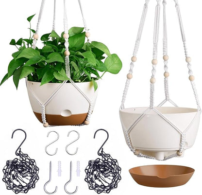 montresor Set of 2-8 Inch Hanging Planters