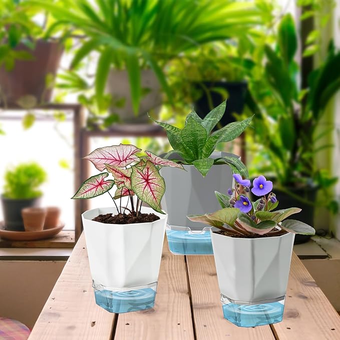 3 Pack Self Watering Flower Pots 6.5 Inch, Plant Pots