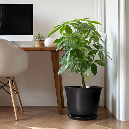 Ceramic Plant Pots
