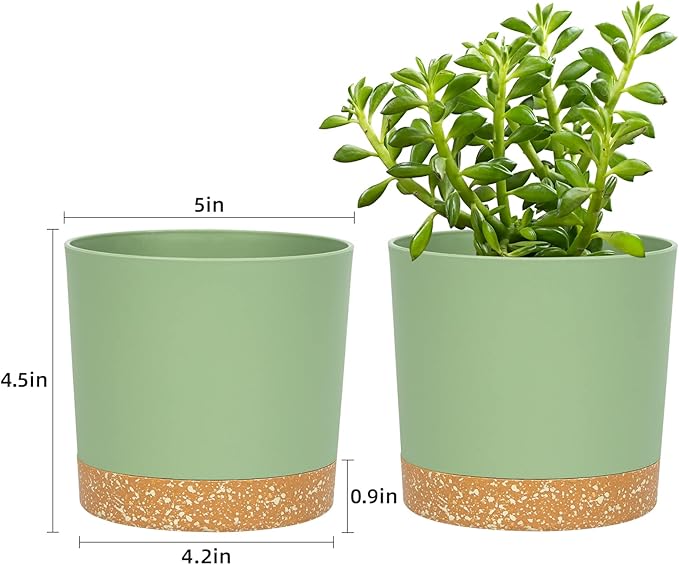 QCQHDU 5 inch Plant Pot, 2 Pack Planters