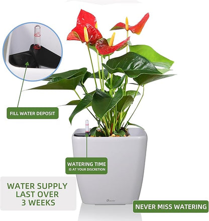 Dexceder 15x14 Self Watering Planter