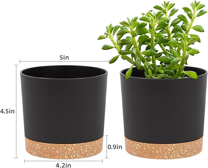 QCQHDU 5 inch Plant Pot, 2 Pack Planters