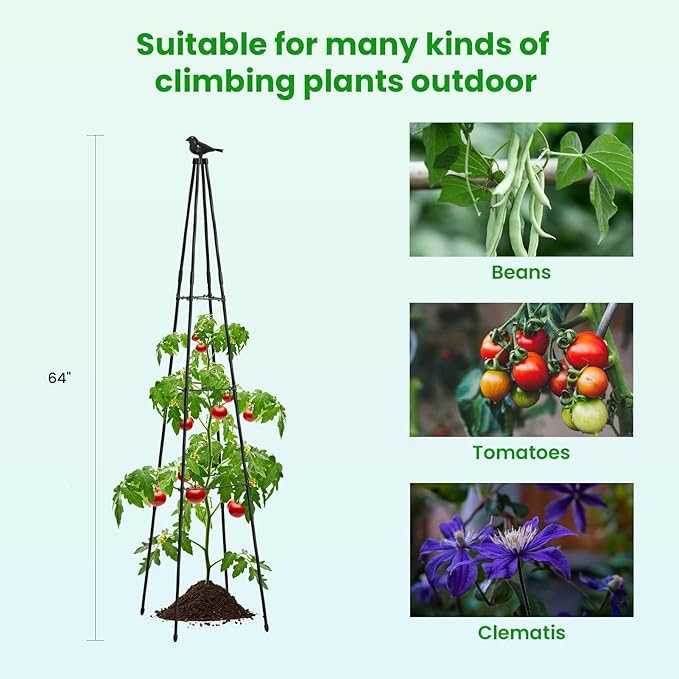 Cucumber Trellis, 2 Pack