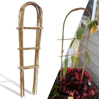 10 Pack 4ft U-Shape Bamboo Trellis