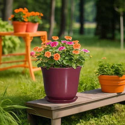 Ceramic Plant Pots
