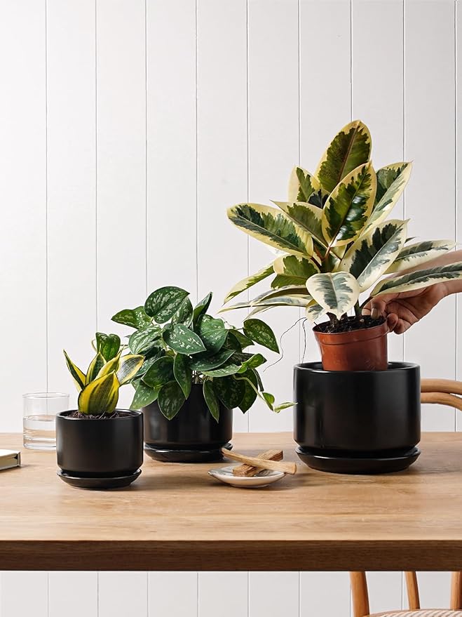 LE TAUCI Ceramic Plant Pots, 4.3+5.3+6.8 inch, Planters