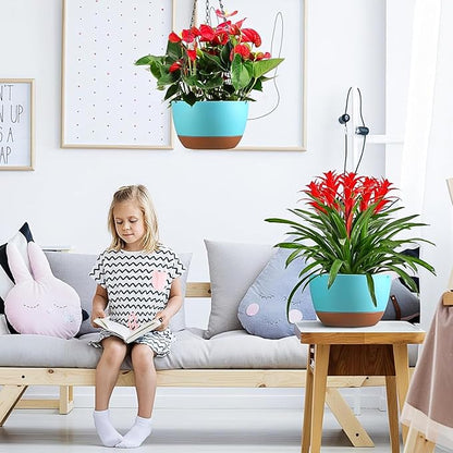 Hanging Planters for Indoor Plants