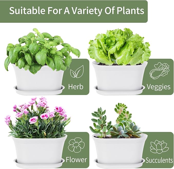 Windowsill Garden Pots, Succulents, African Violet