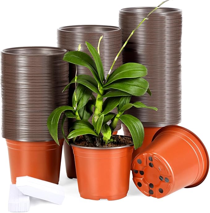 200 Pack 6 Inch Plastic Nursery Pots