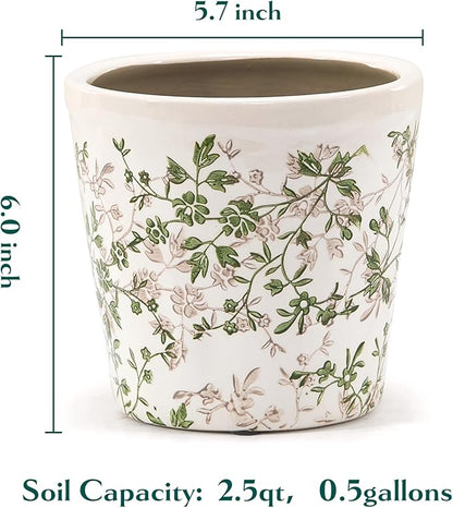 Ceramic Planter with Drainage Hole, Plastic Tray & Mesh, 6 Inch
