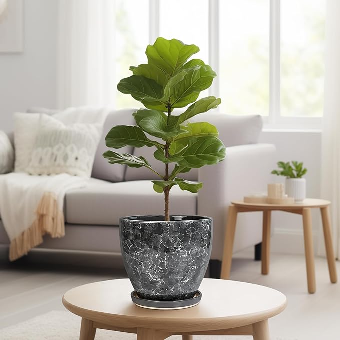 Ceraimc Planter