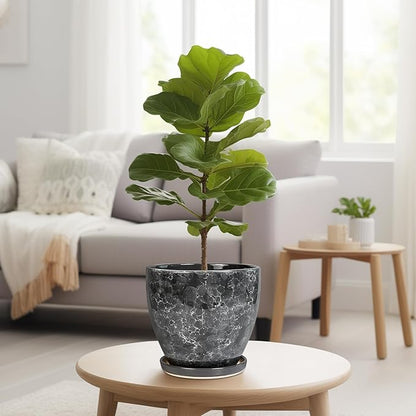 Ceraimc Planter