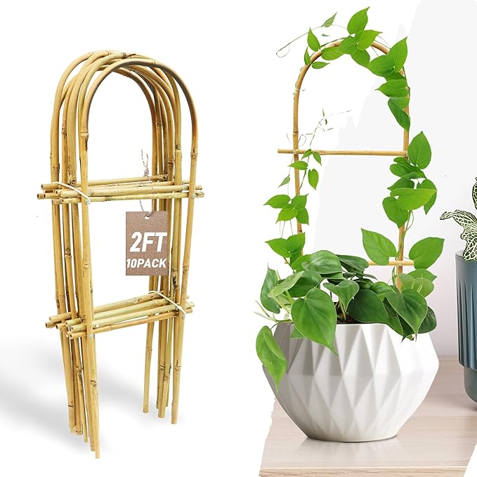 Avalution 10 Pack Bamboo U Trellis