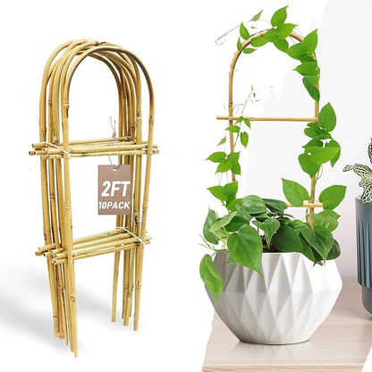 Avalution 10 Pack Bamboo U Trellis