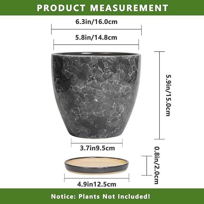 6.3 Inch Plant Pot