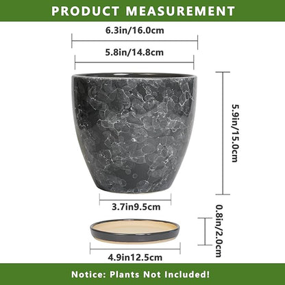 6.3 Inch Plant Pot