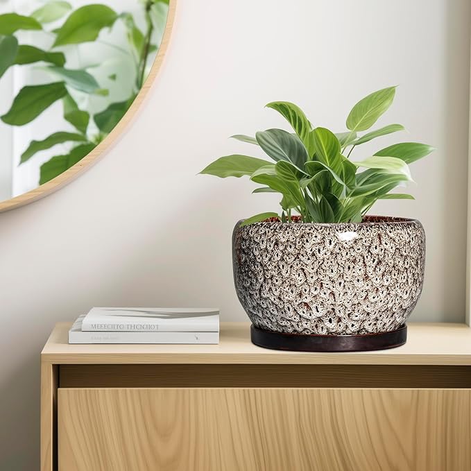 SQOWL Ceramic Plant Pots