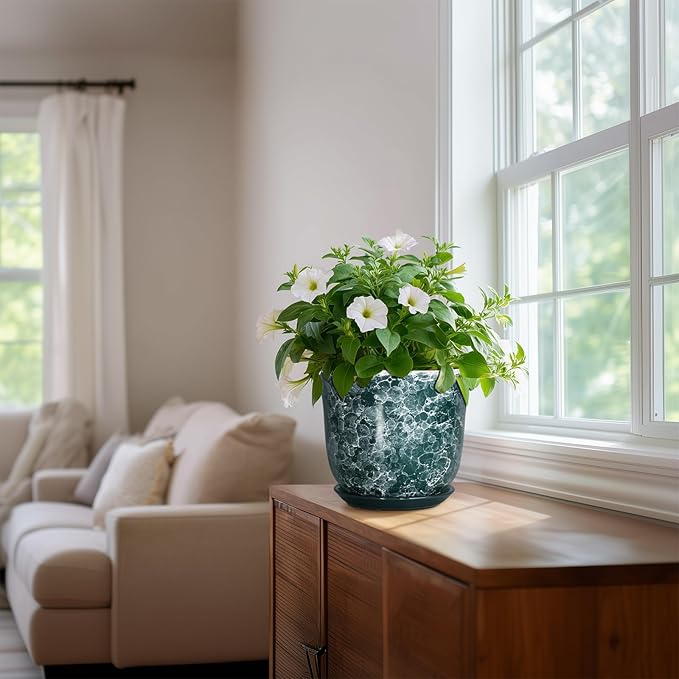 8 Inch Plant Pot