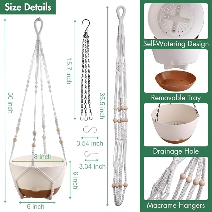 montresor Set of 2-8 Inch Hanging Planters