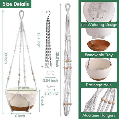 montresor Set of 2-8 Inch Hanging Planters