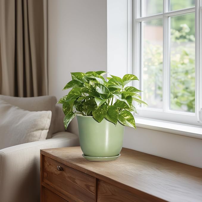 5.6 Inch Plant Pot