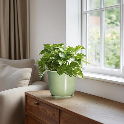 5.6 Inch Plant Pot