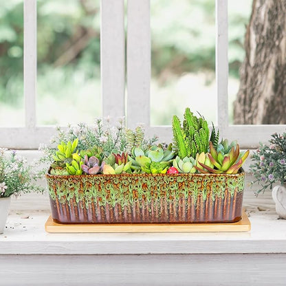 Succulent Pots - 12 Inch Large Succulent Planters