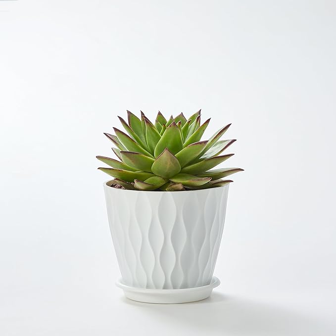 FaithLand 6-Pack 6-Inch Plastic Plant Pots