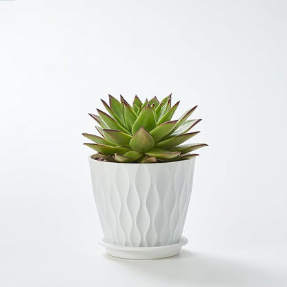 FaithLand 6-Pack 6-Inch Plastic Plant Pots